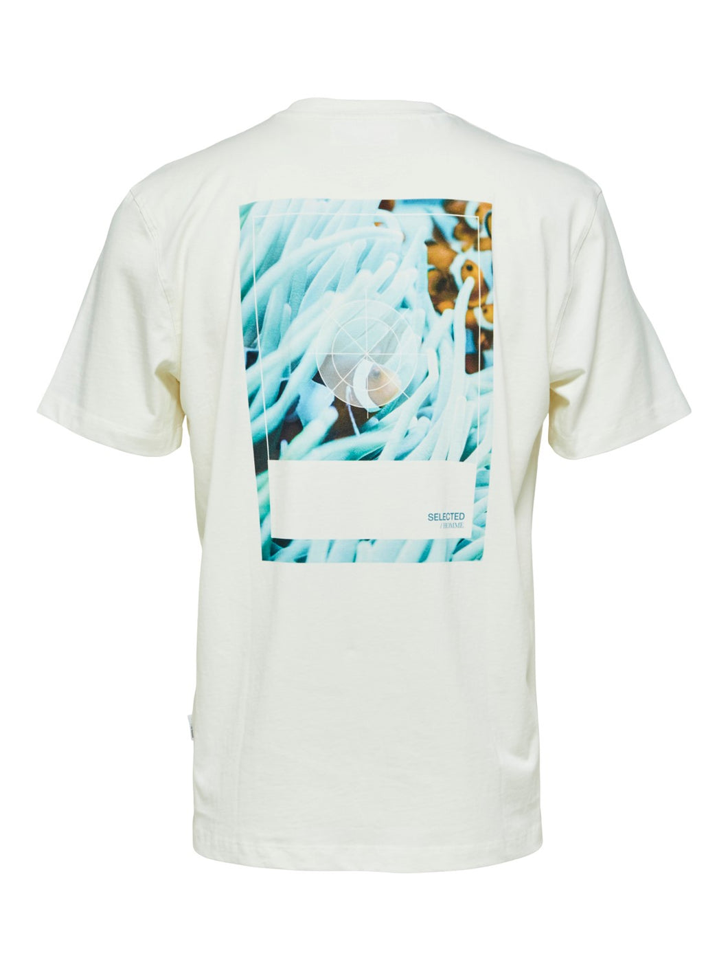 T-shirt Clown Fish